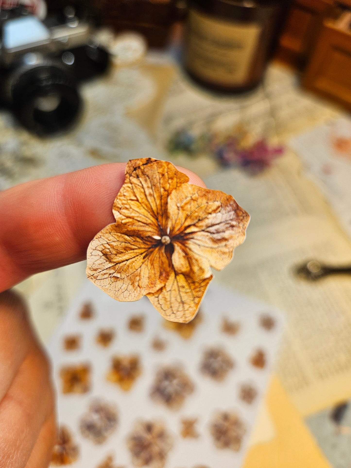 Dried Hydrangea Flowers Stickers Sheet | Scrapbooking Card Making Art Journaling Paper Craft Junk Journal