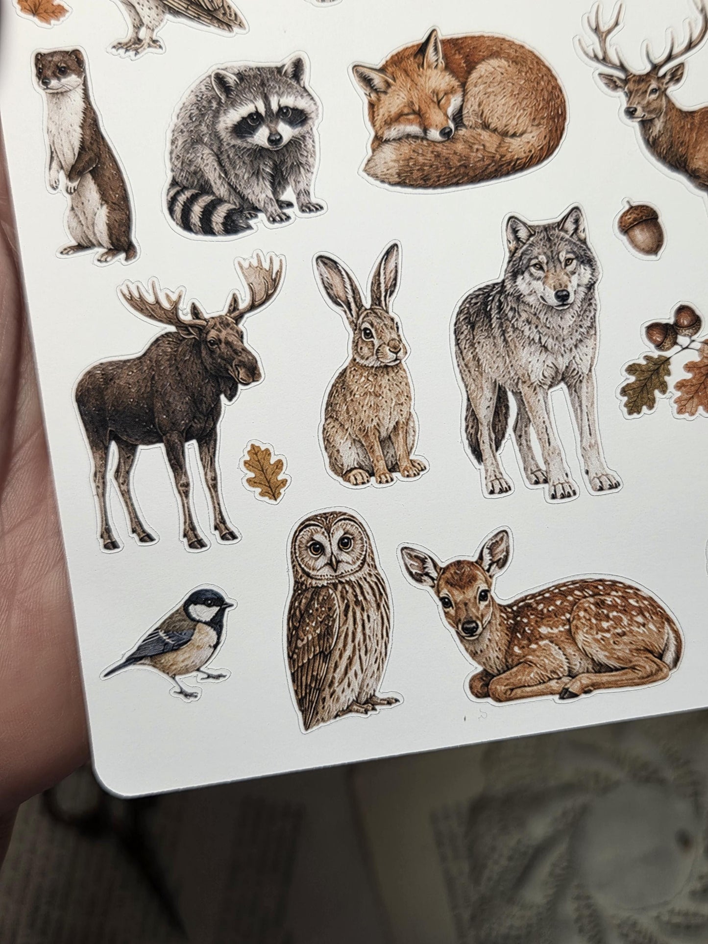 Autumn Animals, ~ A5, Stickers Sheet | Scrapbooking & Journaling