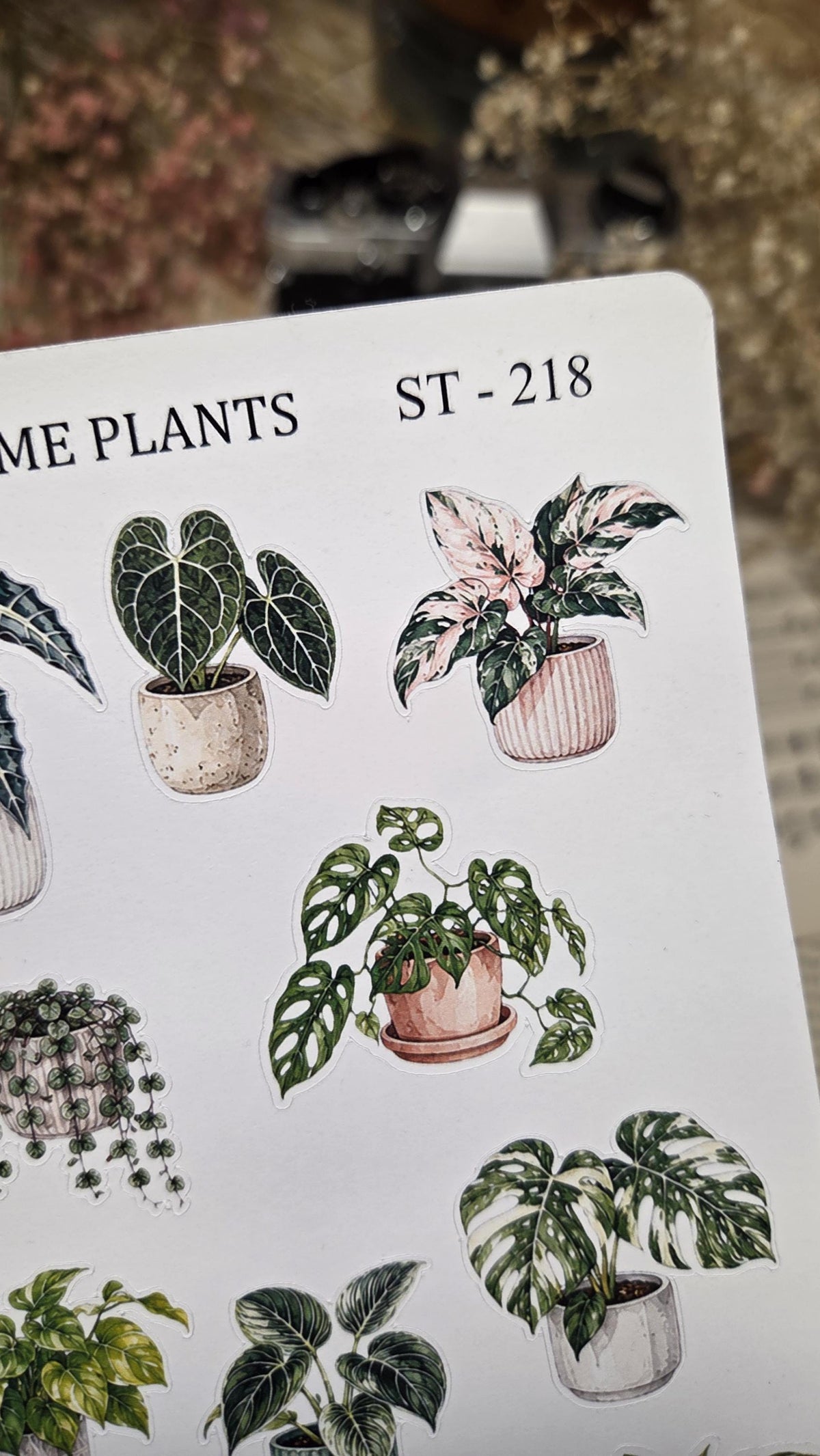 Home Plants, Sticker Sheet, ~ A5, ST 218 | Scrapbooking & Journaling