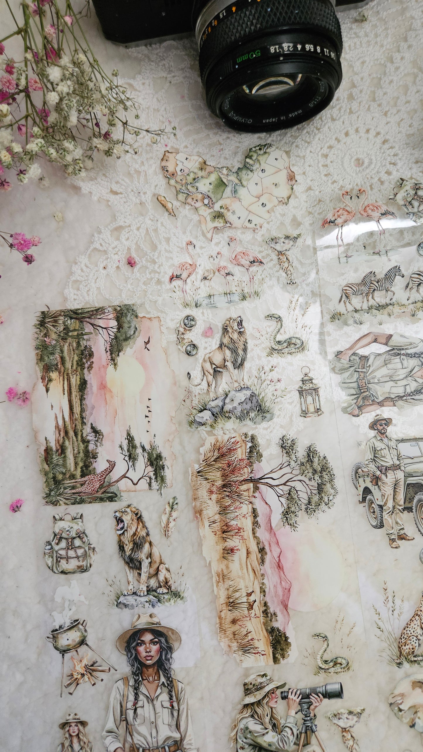 Safari, Crystal Ink, PET TAPE, 7 cm wide