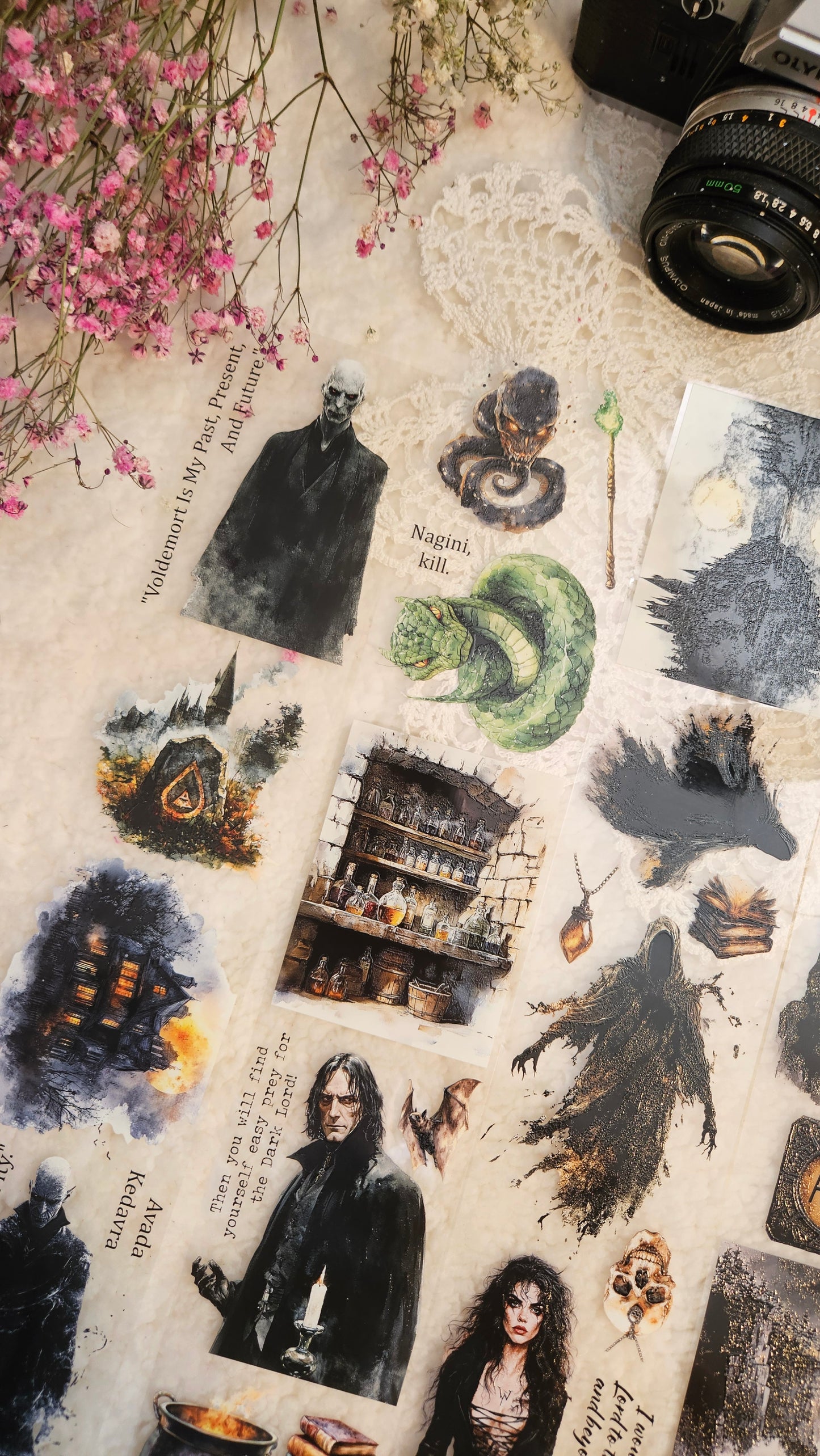 Dark Characters from Harry Potter, Crystal Ink, PET TAPE, 7 cm wide