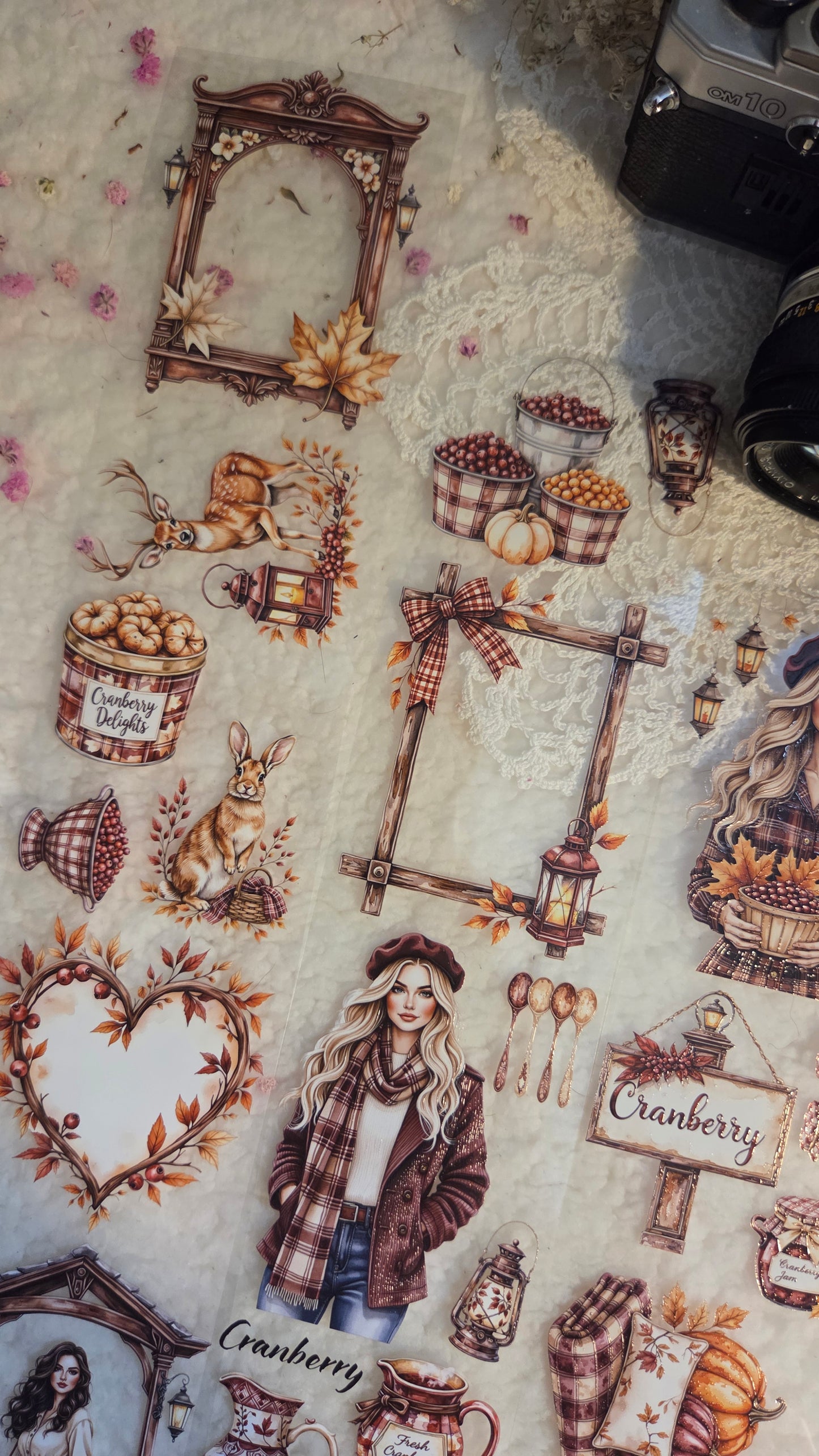 Cranberry Harvest Fair, Crystal Ink, PET TAPE, 7 cm wide