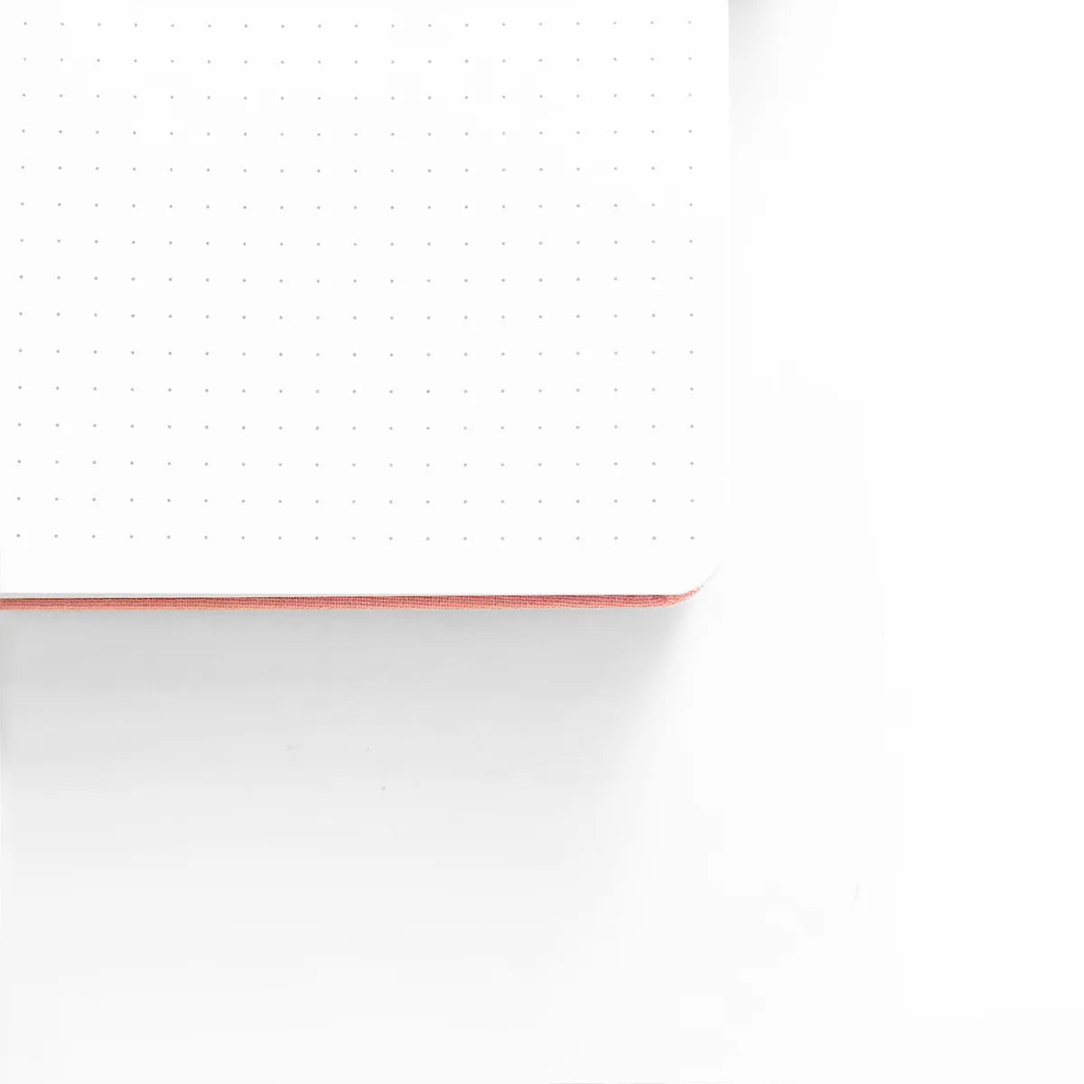 Moonlit Garden: Notebook - B5: 160 Pages / Dot Grid