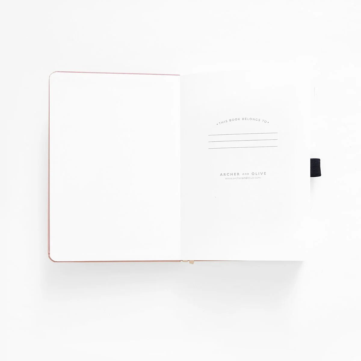 Moonlit Garden: Notebook - B5: 160 Pages / Dot Grid