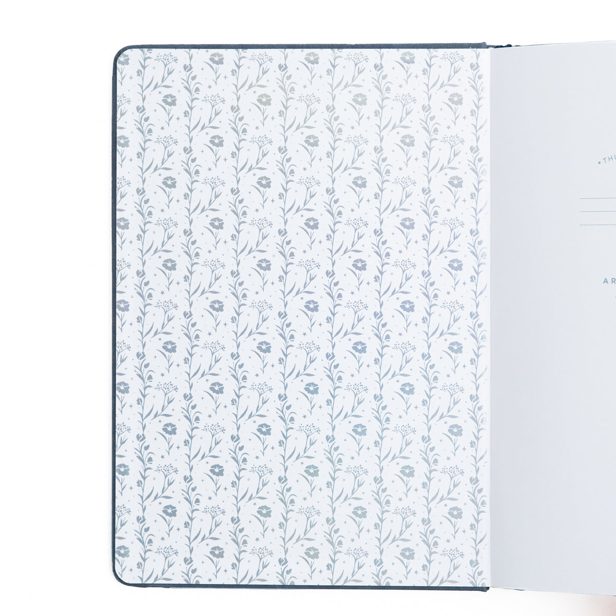 Moonlit Garden: Notebook - B5: 160 Pages / Dot Grid