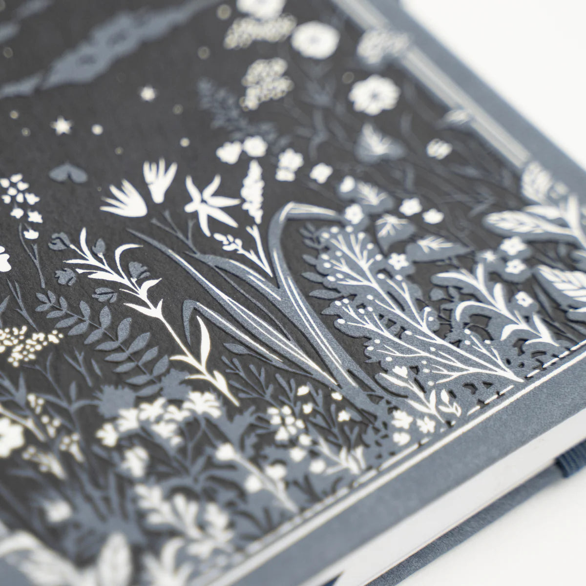 Moonlit Garden: Notebook - B5: 160 Pages / Dot Grid