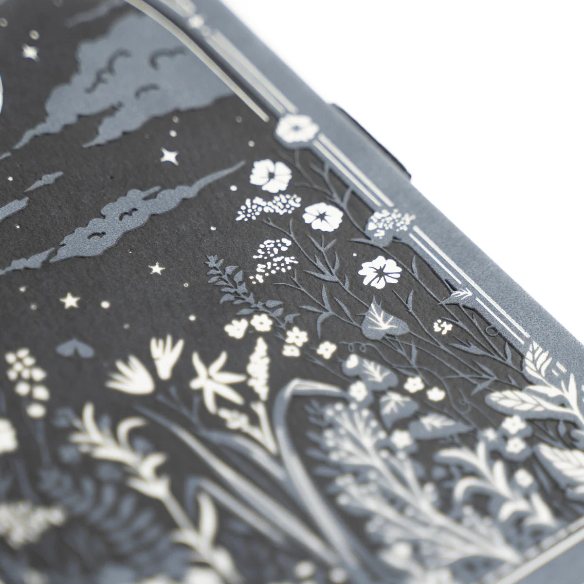 Moonlit Garden: Notebook - B5: 160 Pages / Dot Grid