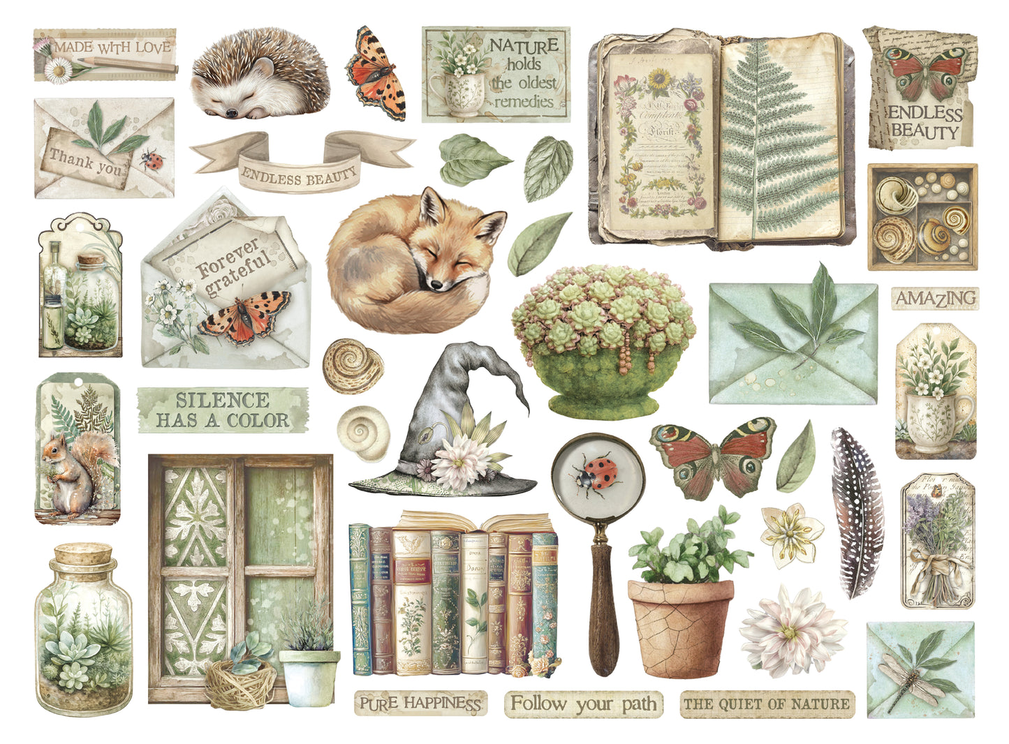 Die cuts assorted - Herbarium Silvae
