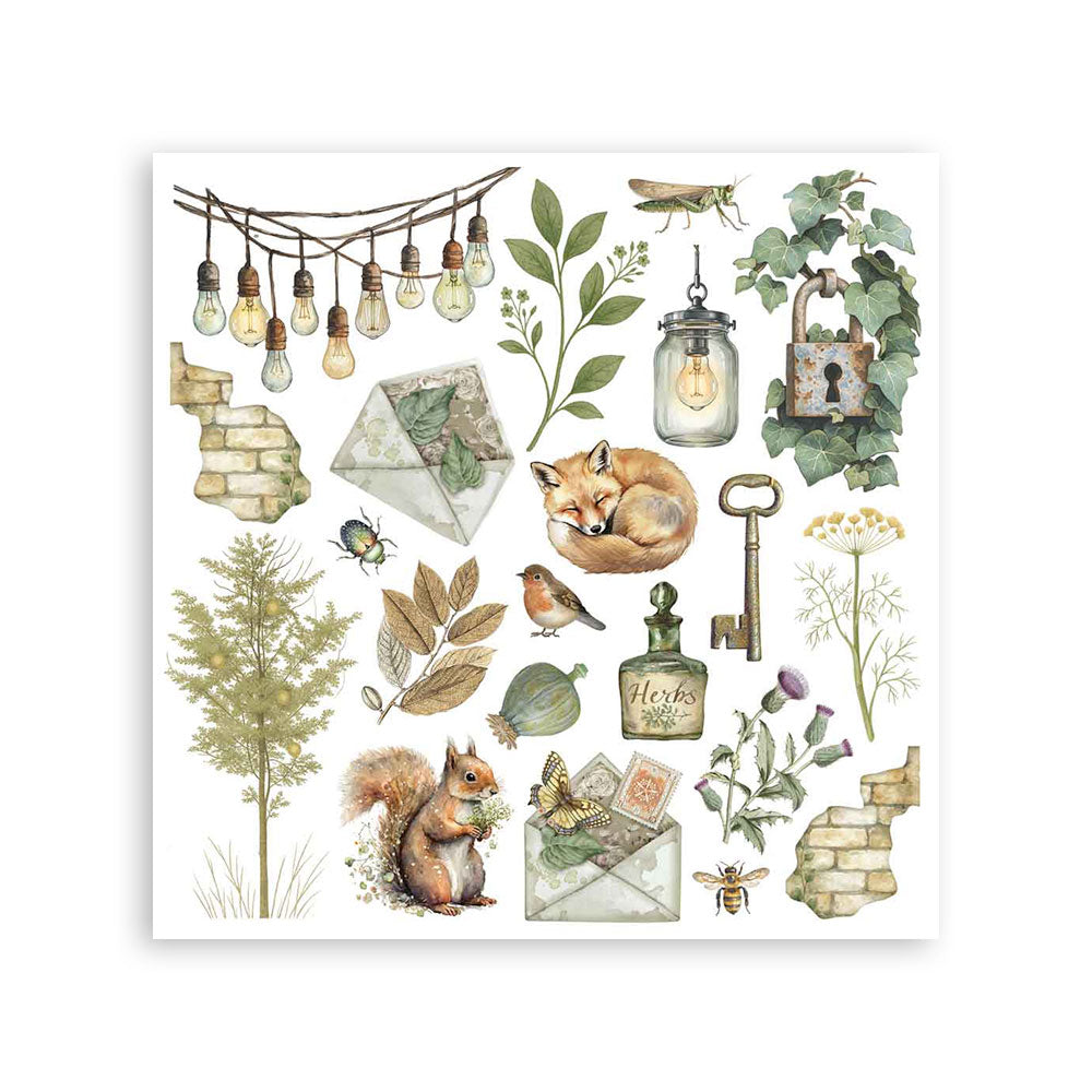 Rub on kit cm 15,5x15,5 - 6 pages Herbarium Silvae