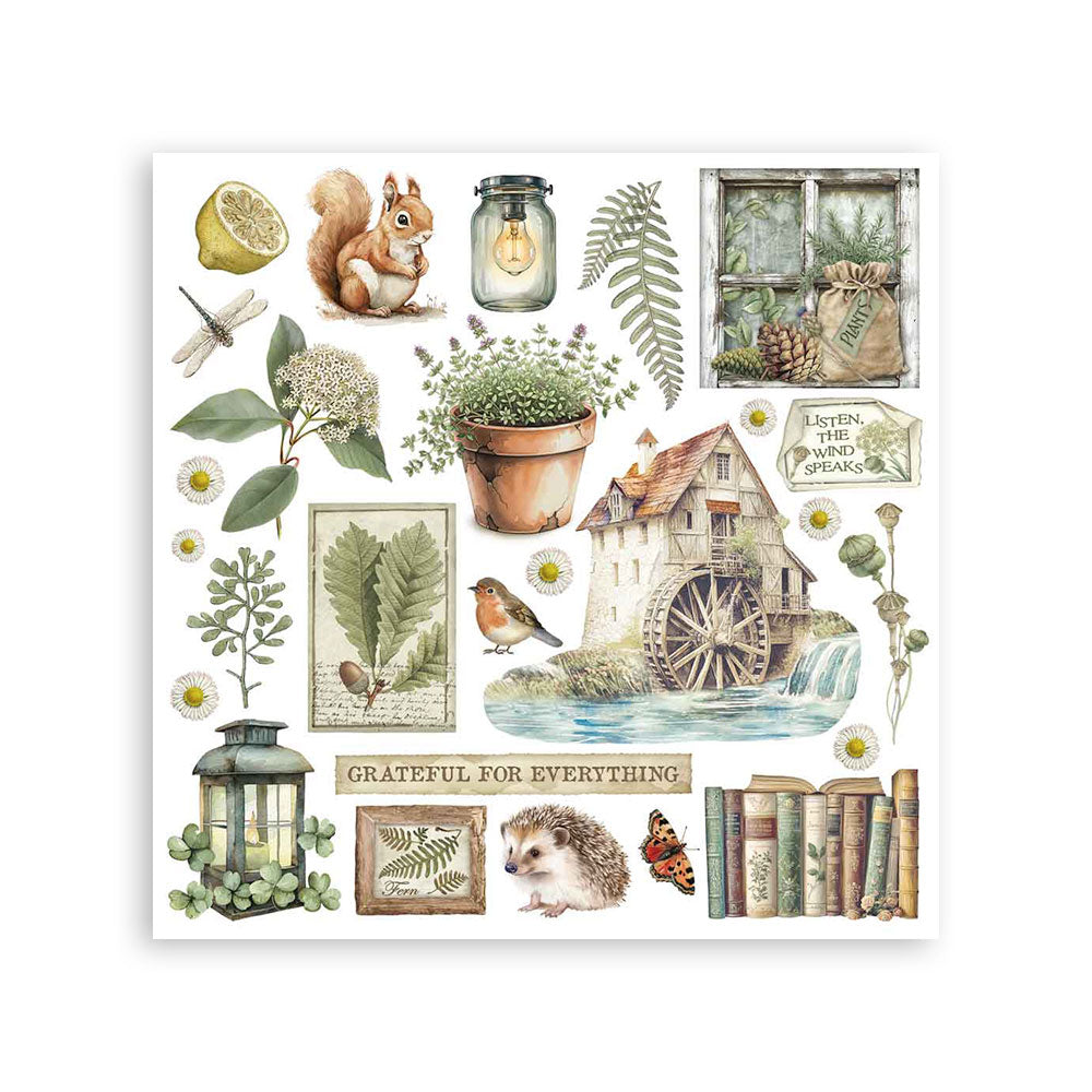 Rub on kit cm 15,5x15,5 - 6 pages Herbarium Silvae