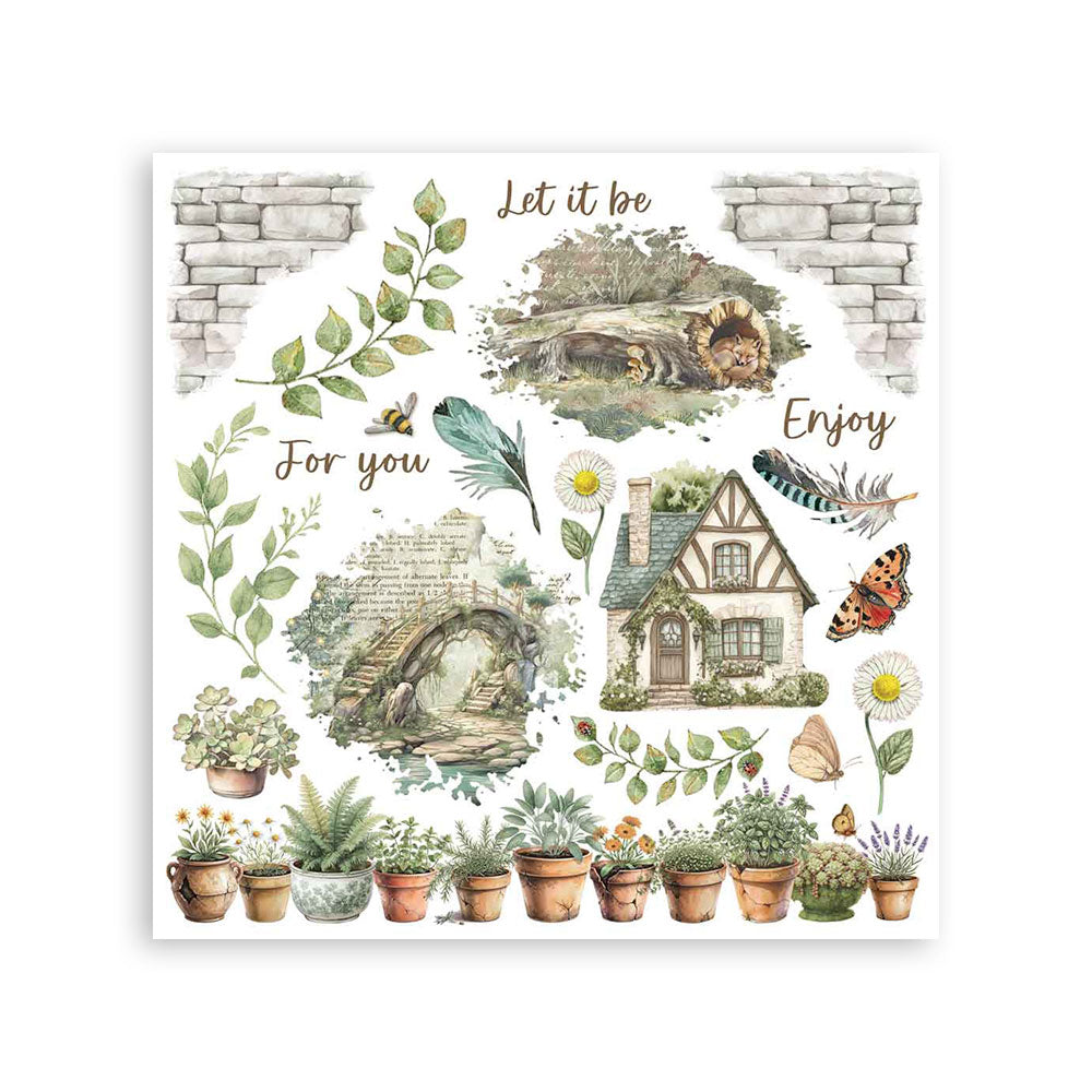 Rub on kit cm 15,5x15,5 - 6 pages Herbarium Silvae