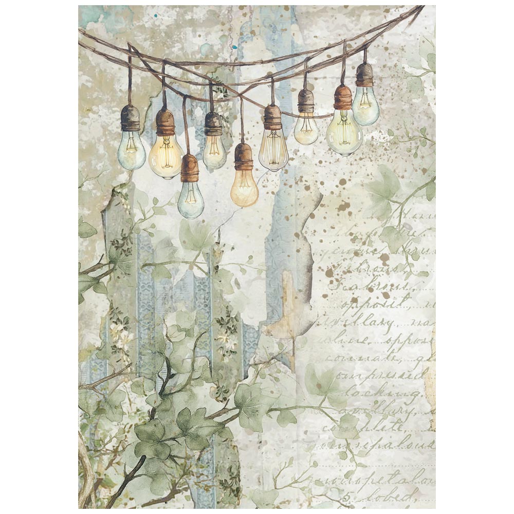 Selection 8 Rice paper A6 backgrounds Herbarium Silvae