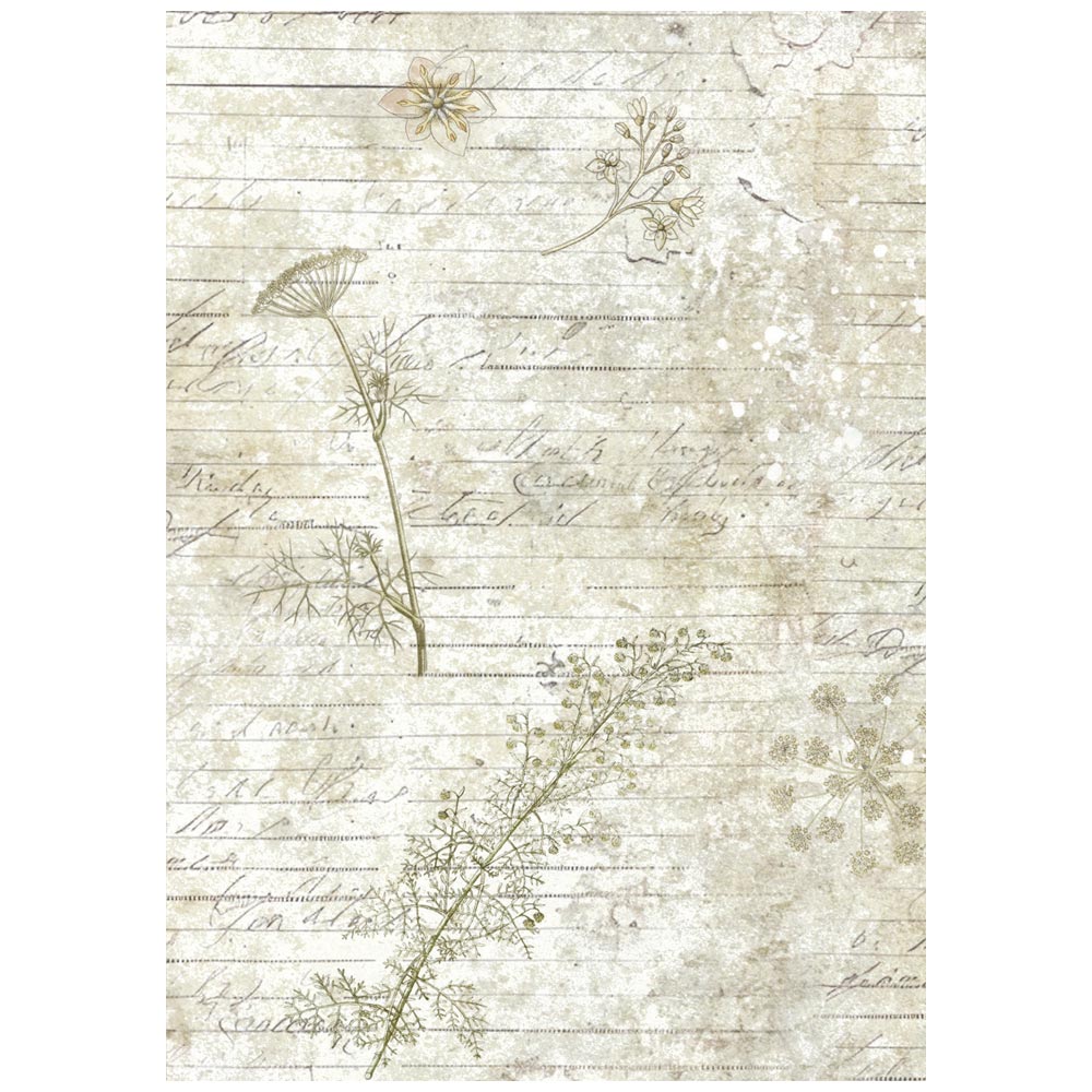 Selection 8 Rice paper A6 backgrounds Herbarium Silvae