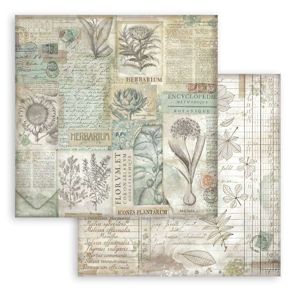 Scrapbooking Small Pad 10 sheets cm 20,3X20,3 (8"X8") Backgrounds Selection - Herbarium Silvae