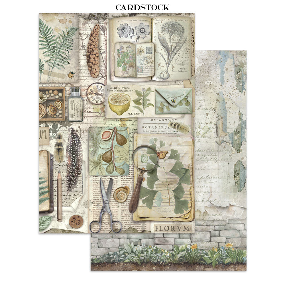 Junk journal stickers, cut-outs, backgrounds - Herbarium Silvae
