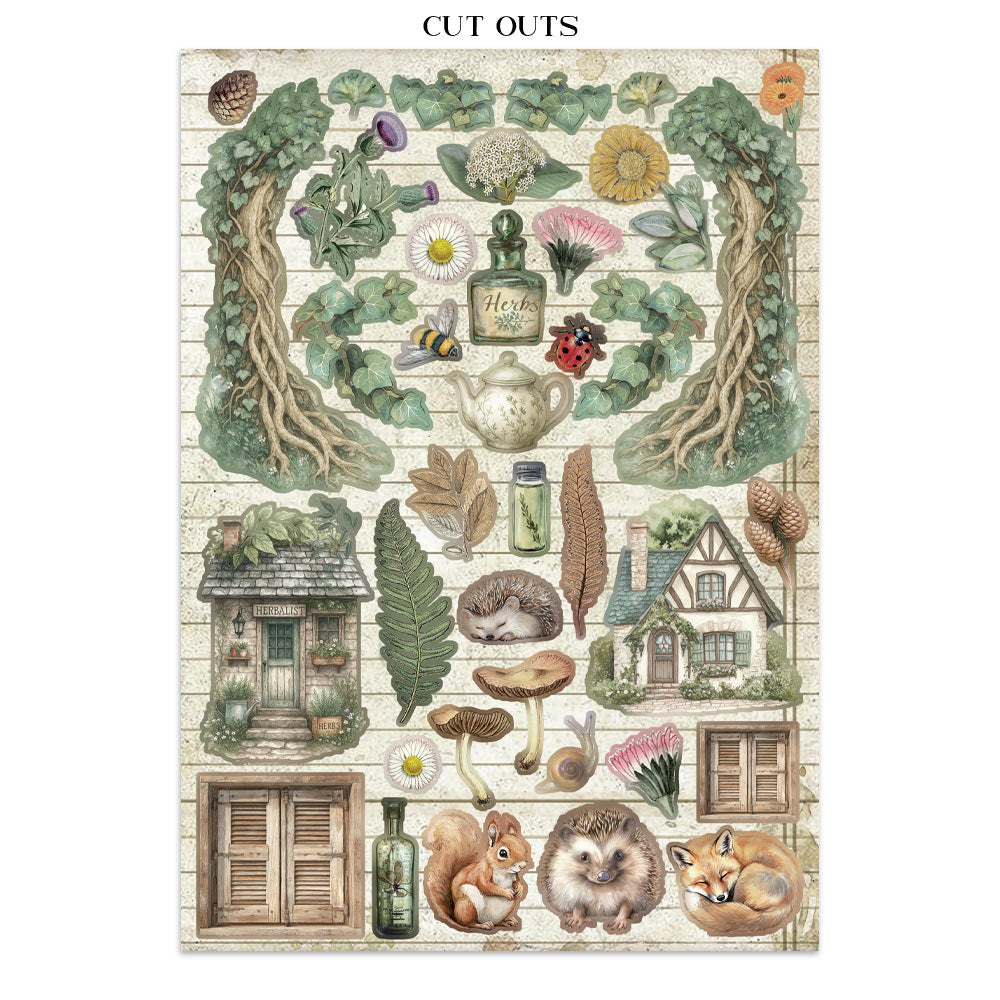 Junk journal stickers, cut-outs, backgrounds - Herbarium Silvae