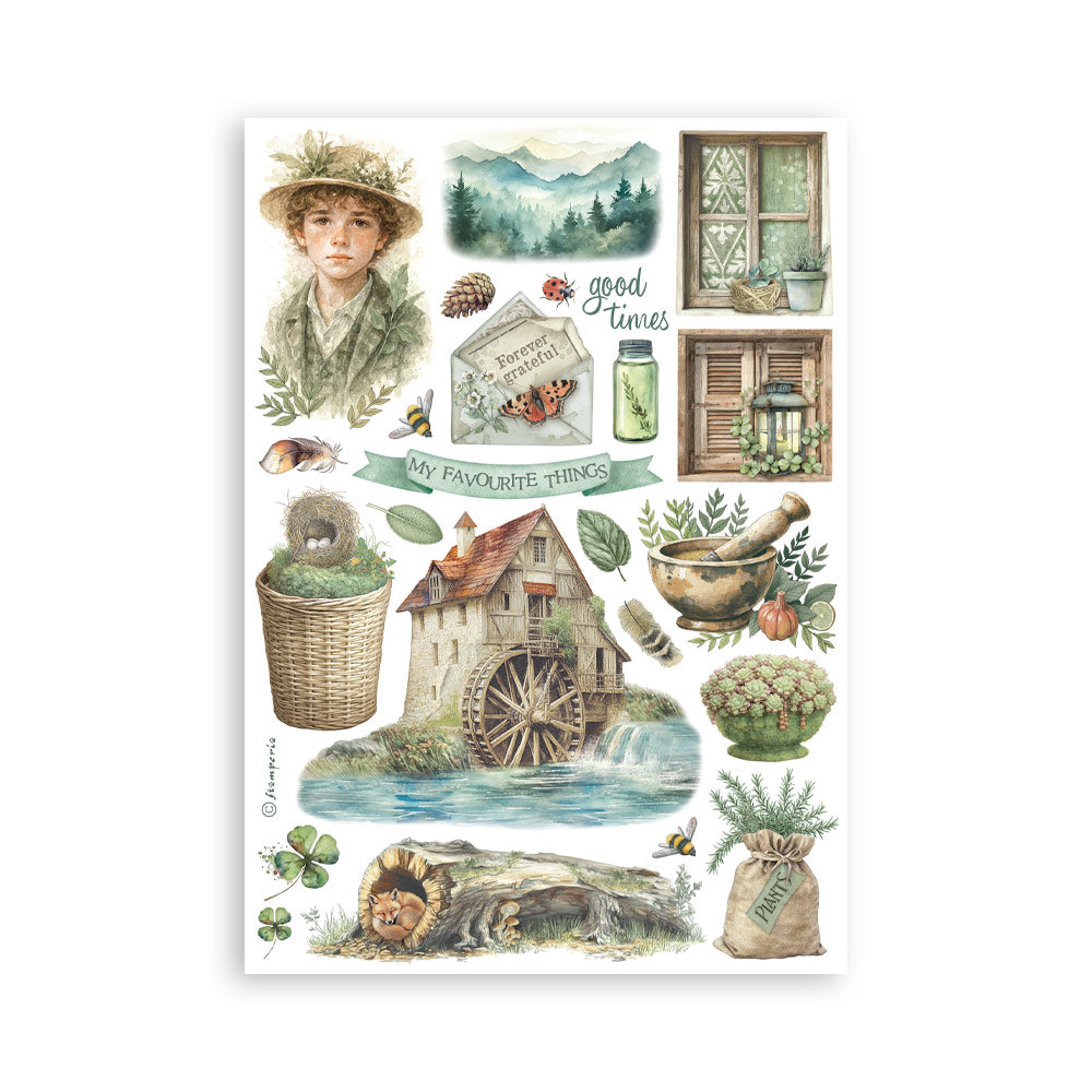 Washi pad 8 sheets A5 - Herbarium Silvae