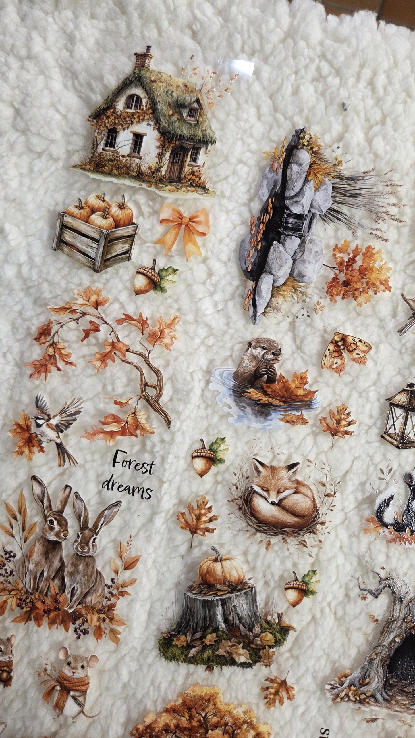 Woodland Stories - PET Tape | Scrapbooking & Journaling Supplies