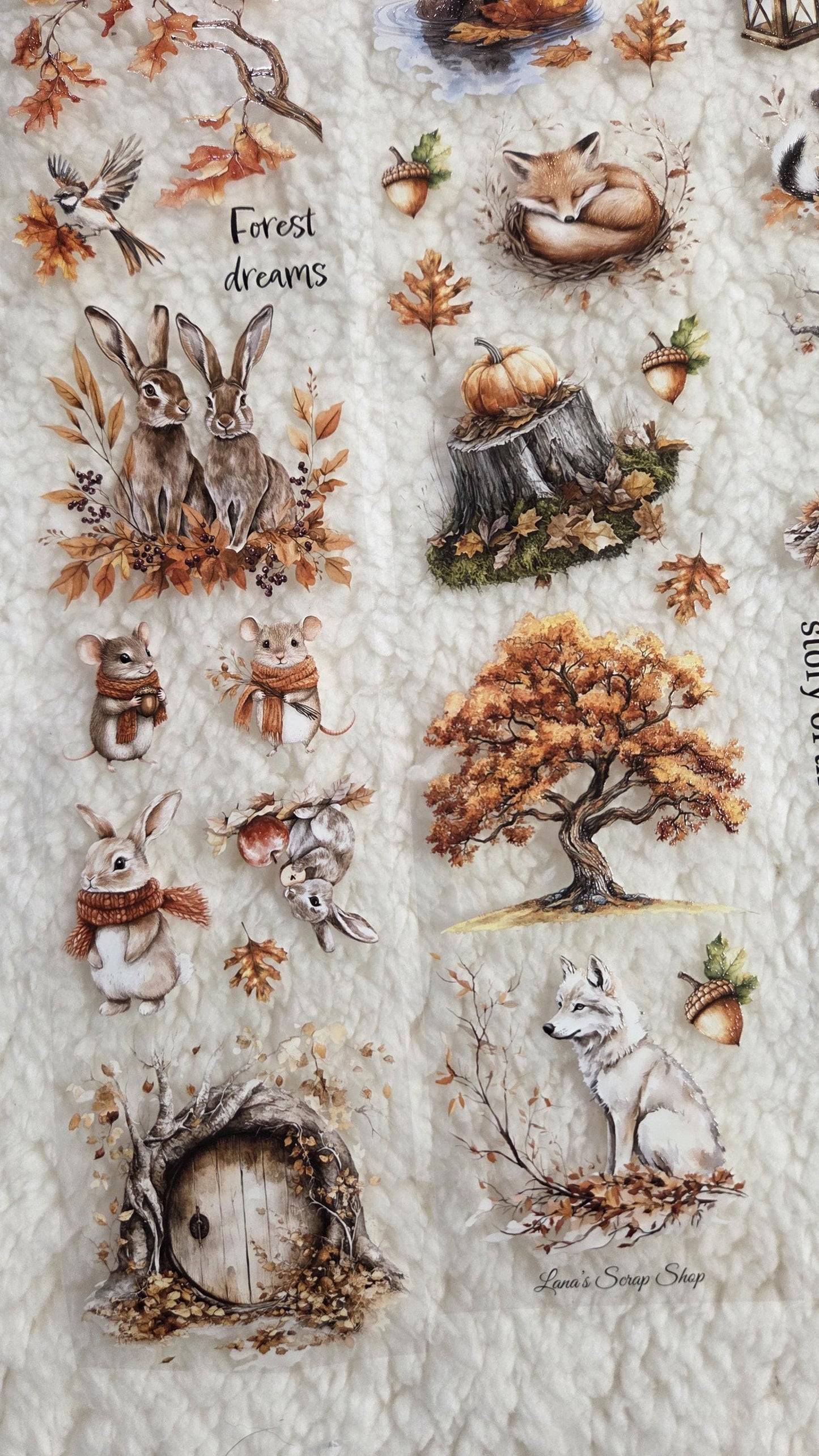 Woodland Stories - PET Tape | Scrapbooking & Journaling Supplies