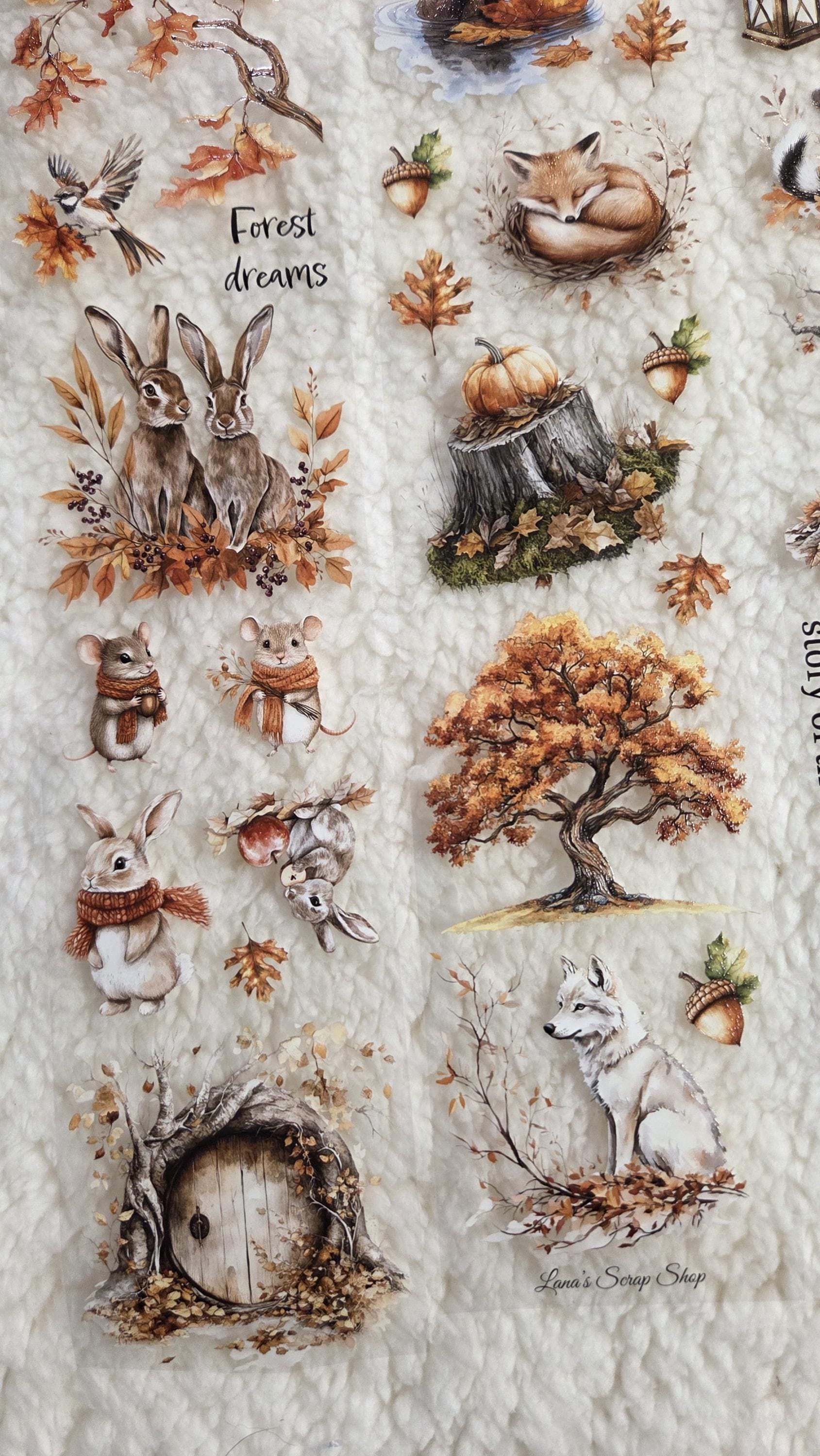 Woodland Stories - PET Tape | Scrapbooking & Journaling Supplies