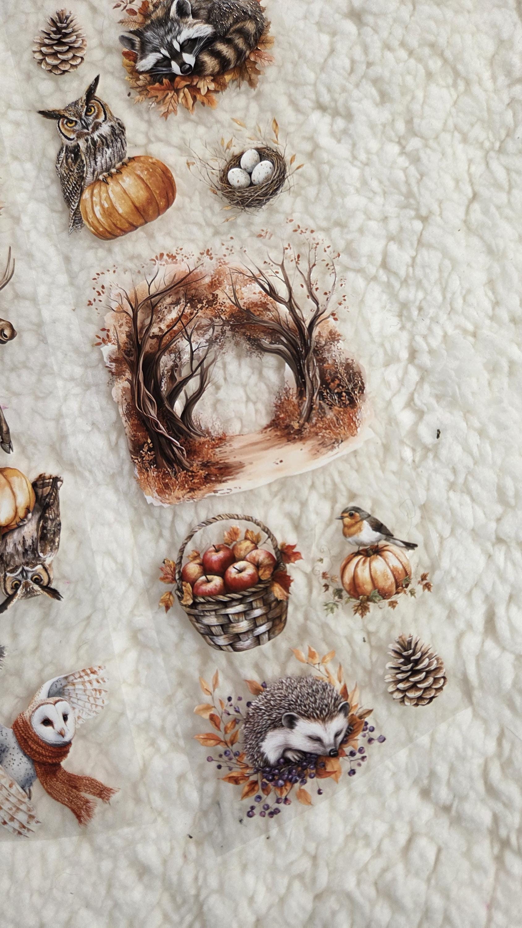 Woodland Stories - PET Tape | Scrapbooking & Journaling Supplies