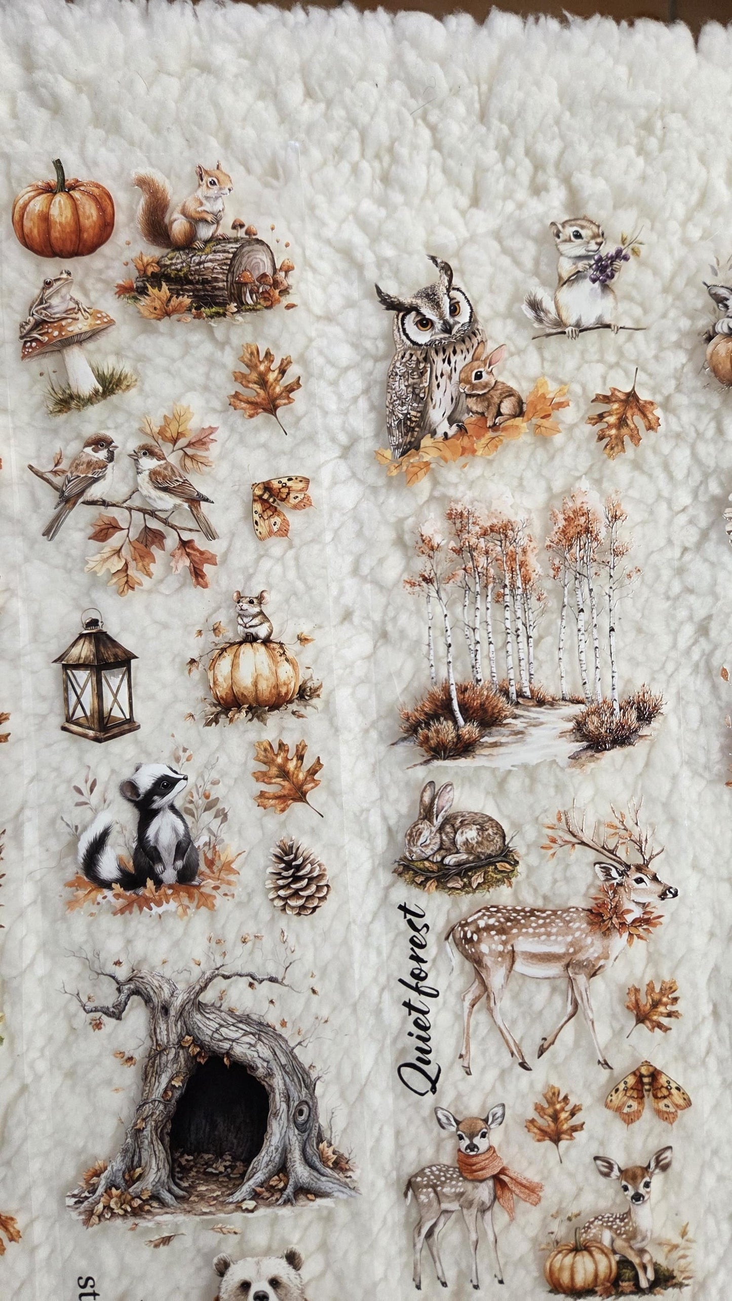 Woodland Stories - PET Tape | Scrapbooking & Journaling Supplies