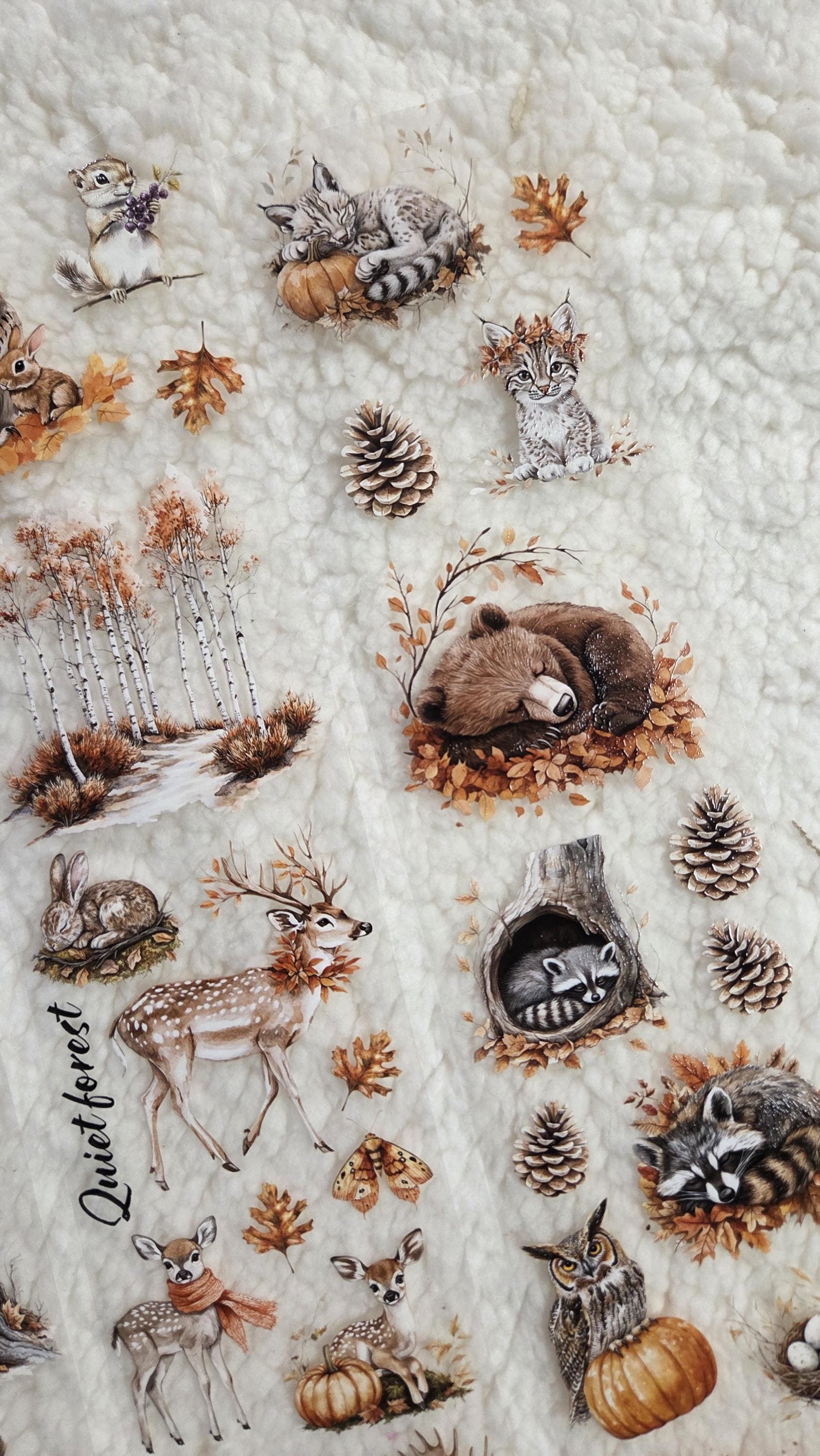 Woodland Stories - PET Tape | Scrapbooking & Journaling Supplies