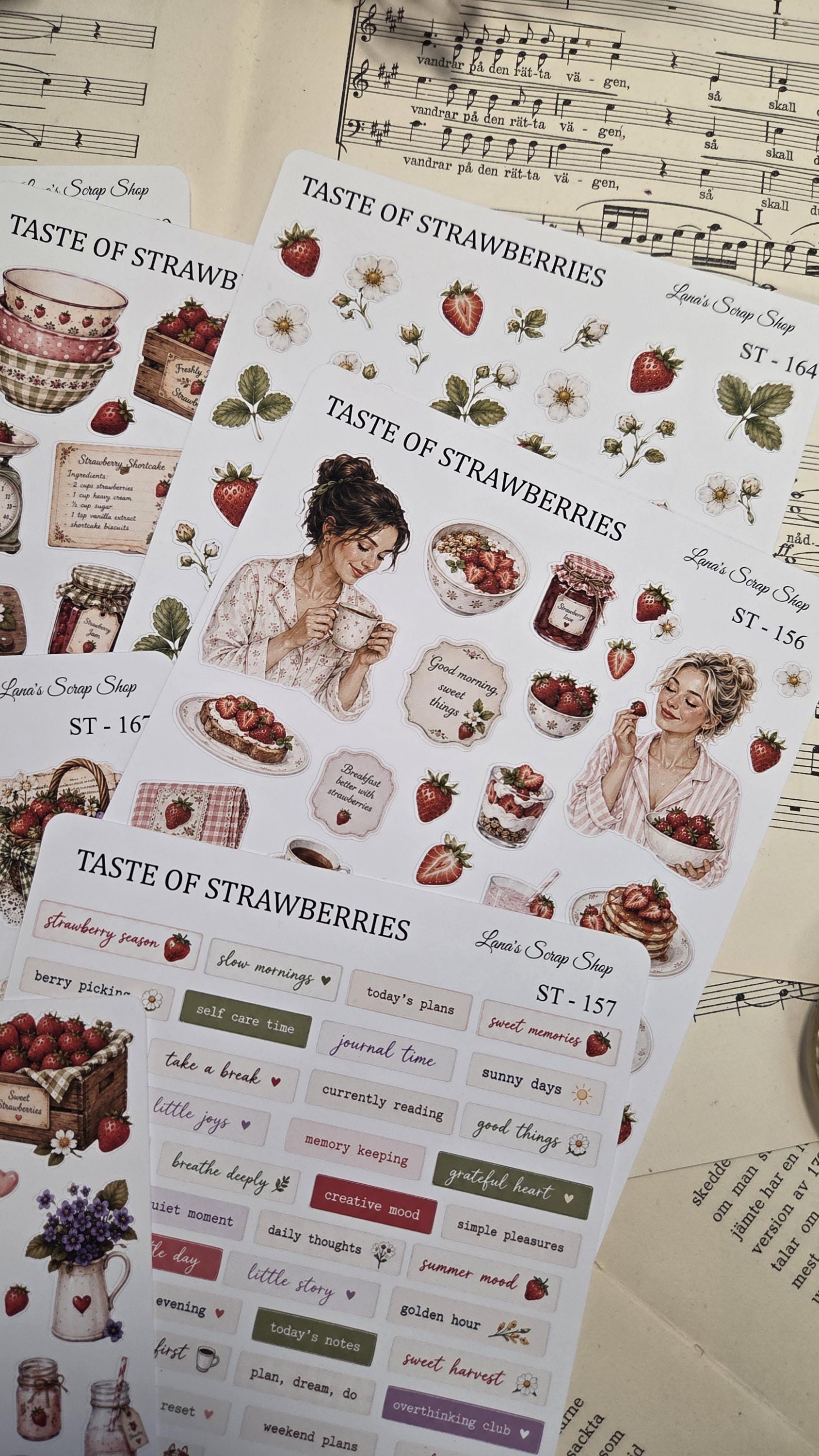 New Arrivals - Latest Scrapbooking & Journaling Supplies – Lana's