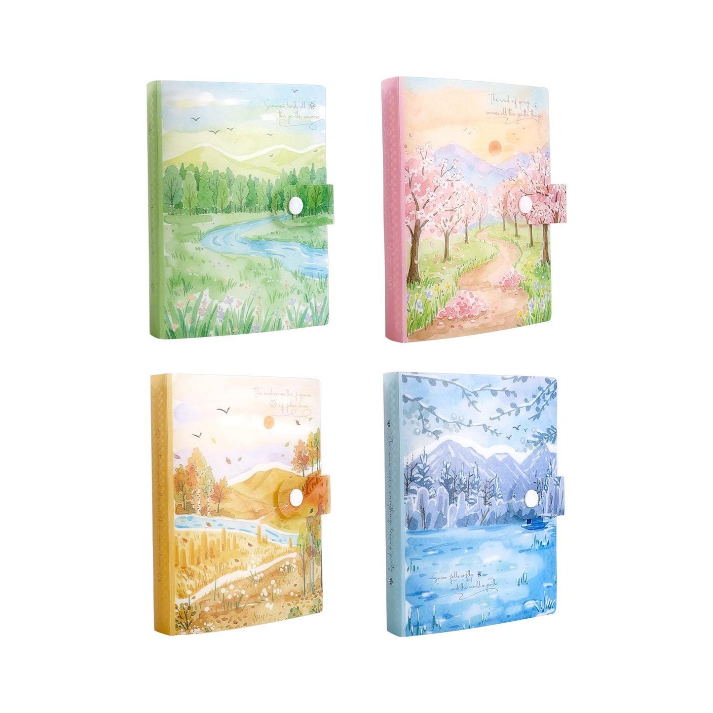 Four Seasons Storage Album