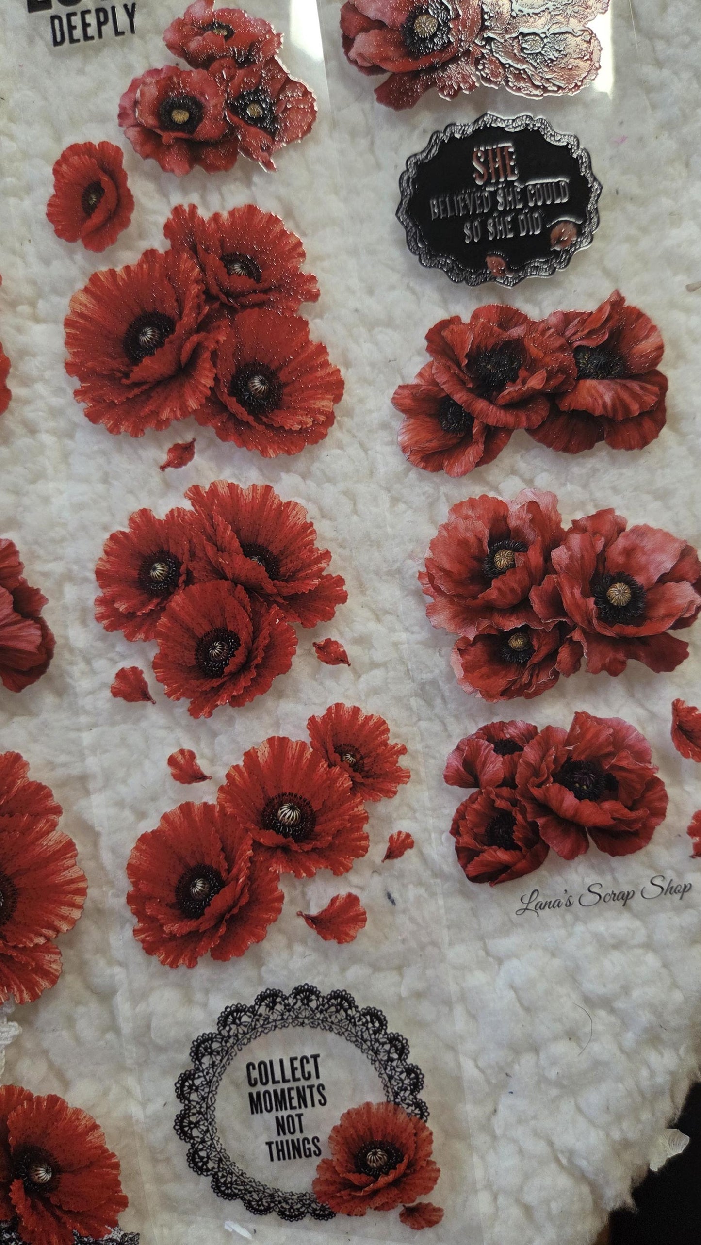 Untamed Beauty - PET Tape | Scrapbooking & Journaling Supplies