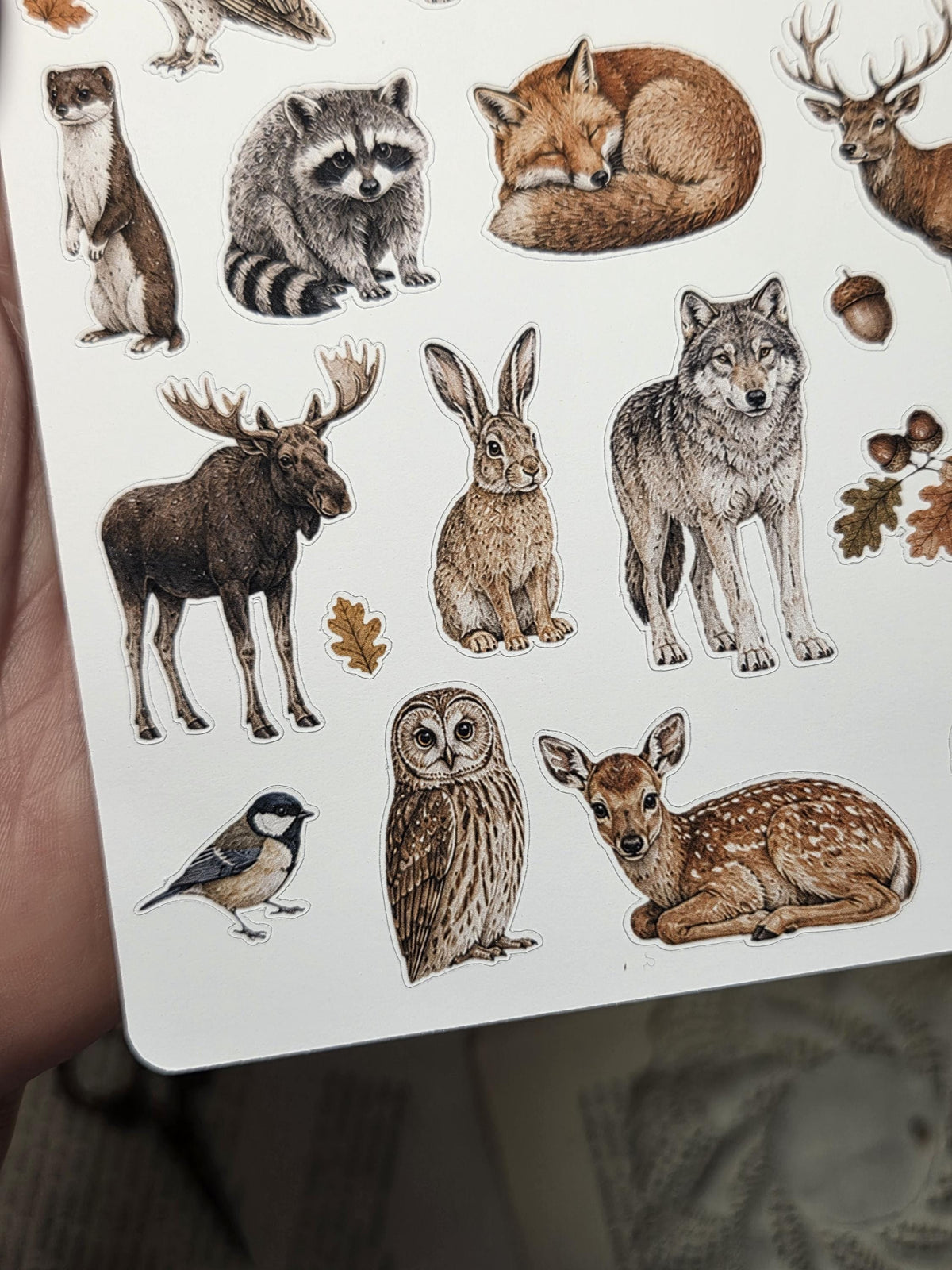 Autumn Animals, ~ A5, Stickers Sheet | Scrapbooking & Journaling