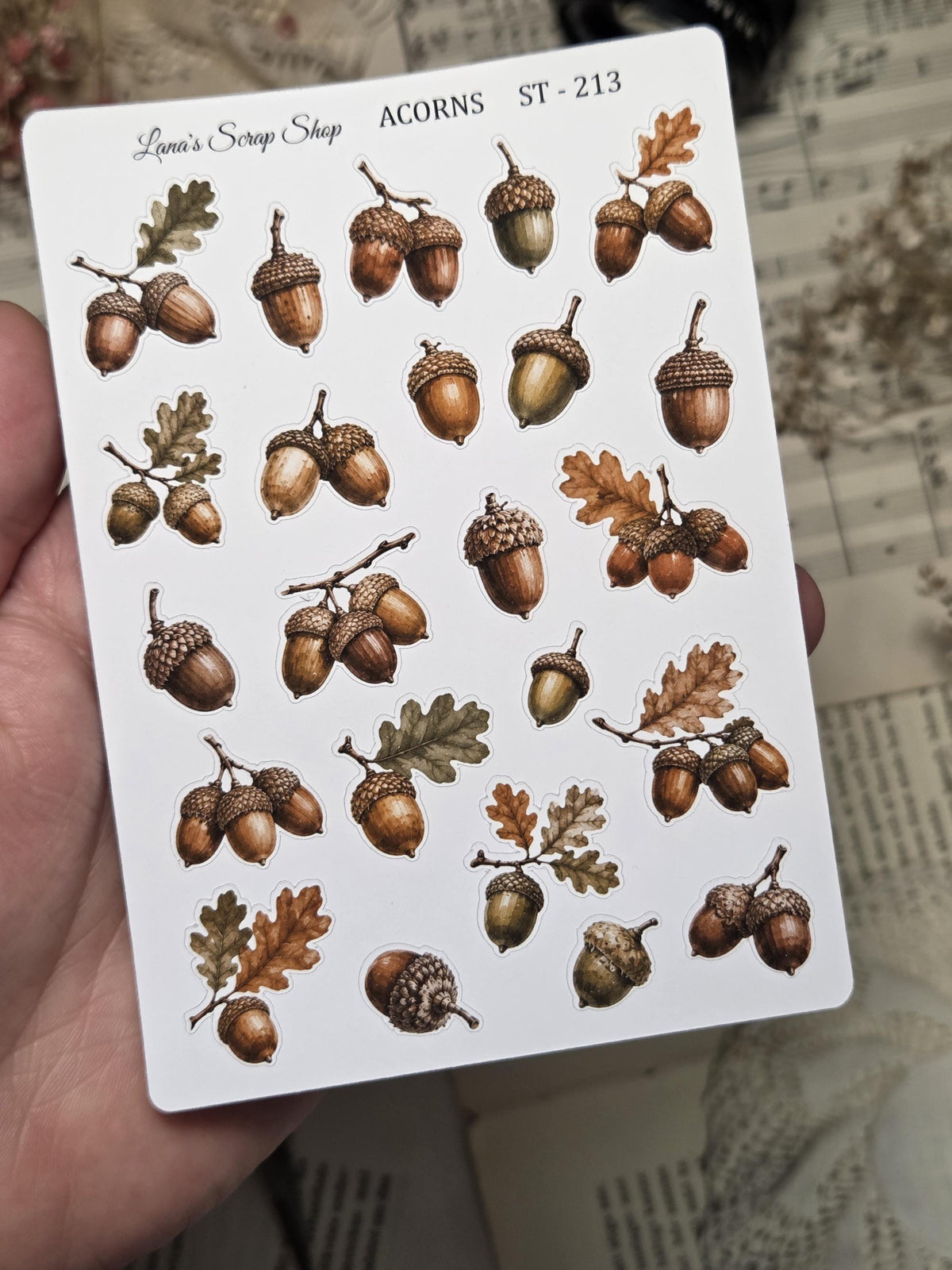 Acorns, ~ A6, Stickers Sheet | Scrapbooking & Journaling