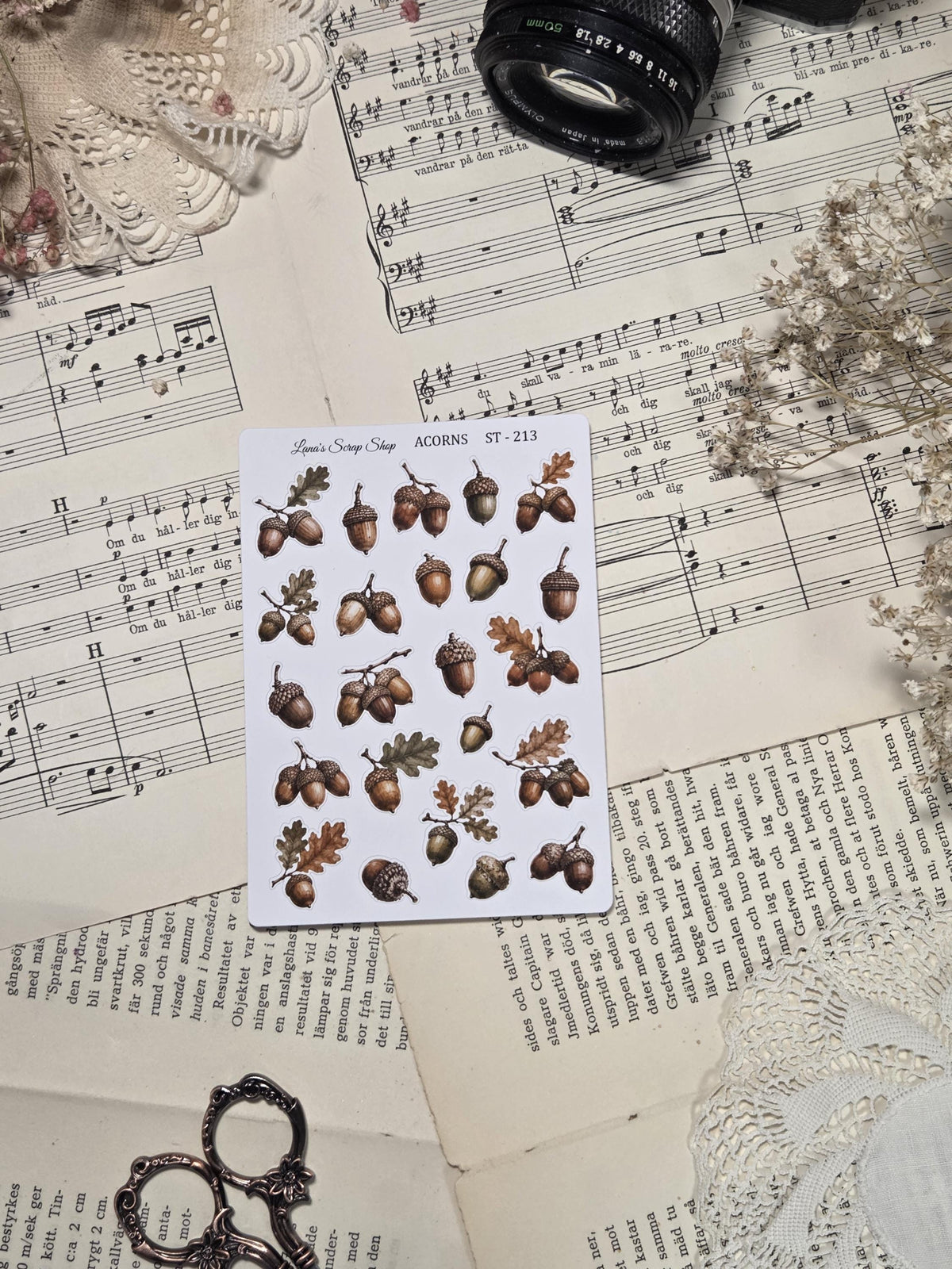 Acorns, ~ A6, Stickers Sheet | Scrapbooking & Journaling