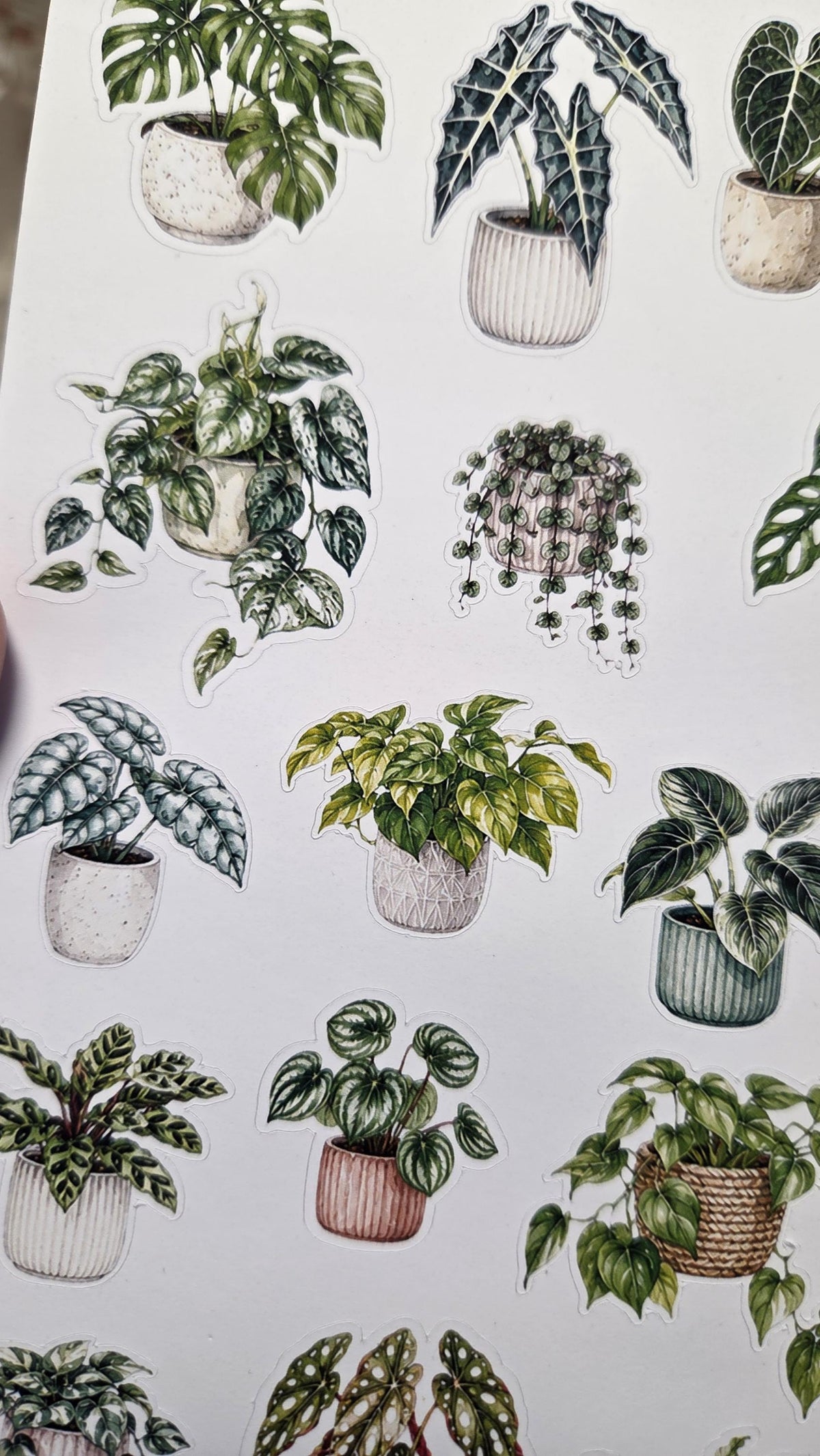 Home Plants, Sticker Sheet, ~ A5, ST 218 | Scrapbooking & Journaling