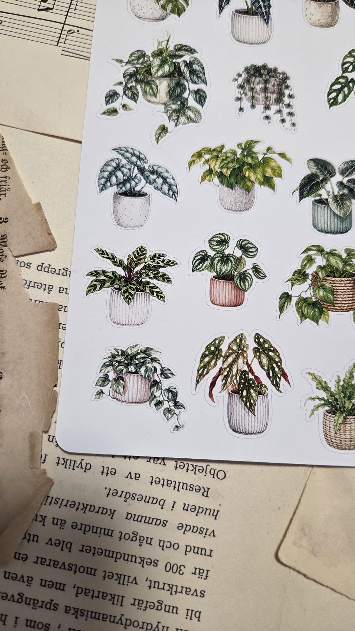 Home Plants, Sticker Sheet, ~ A5, ST 218 | Scrapbooking & Journaling