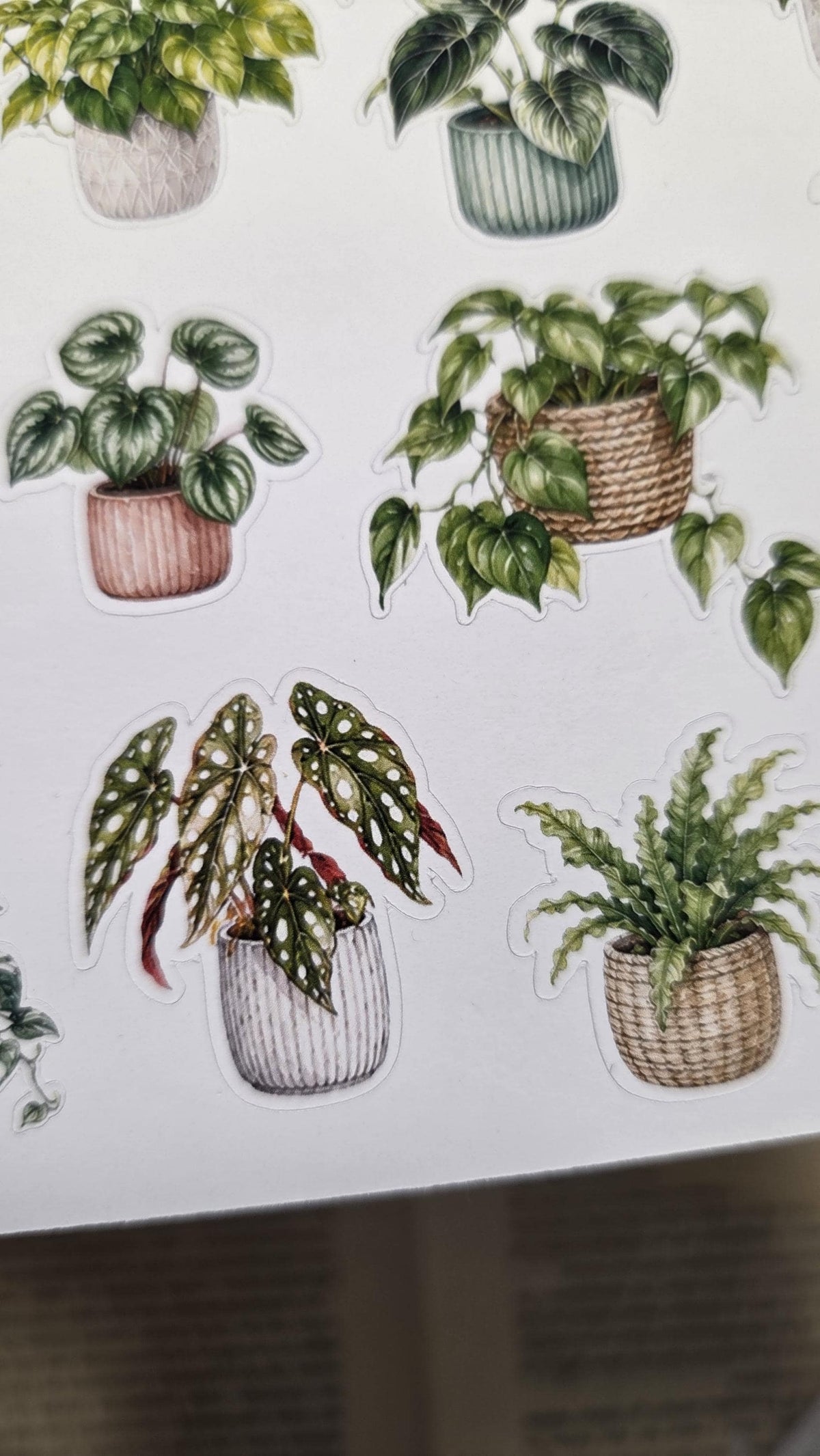 Home Plants, Sticker Sheet, ~ A5, ST 218 | Scrapbooking & Journaling