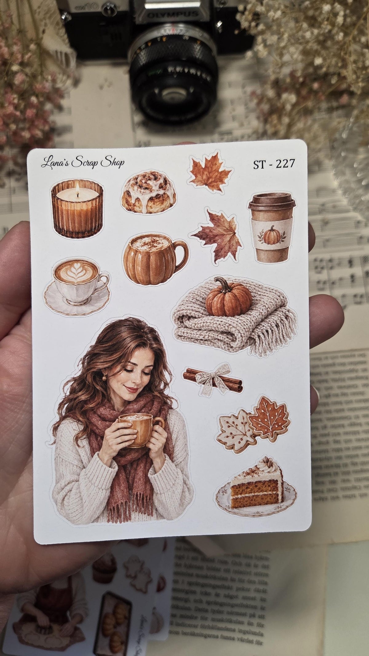 Pumpkin Season, Set of 4, ~ A6, Stickers Sheet | Scrapbooking & Journaling