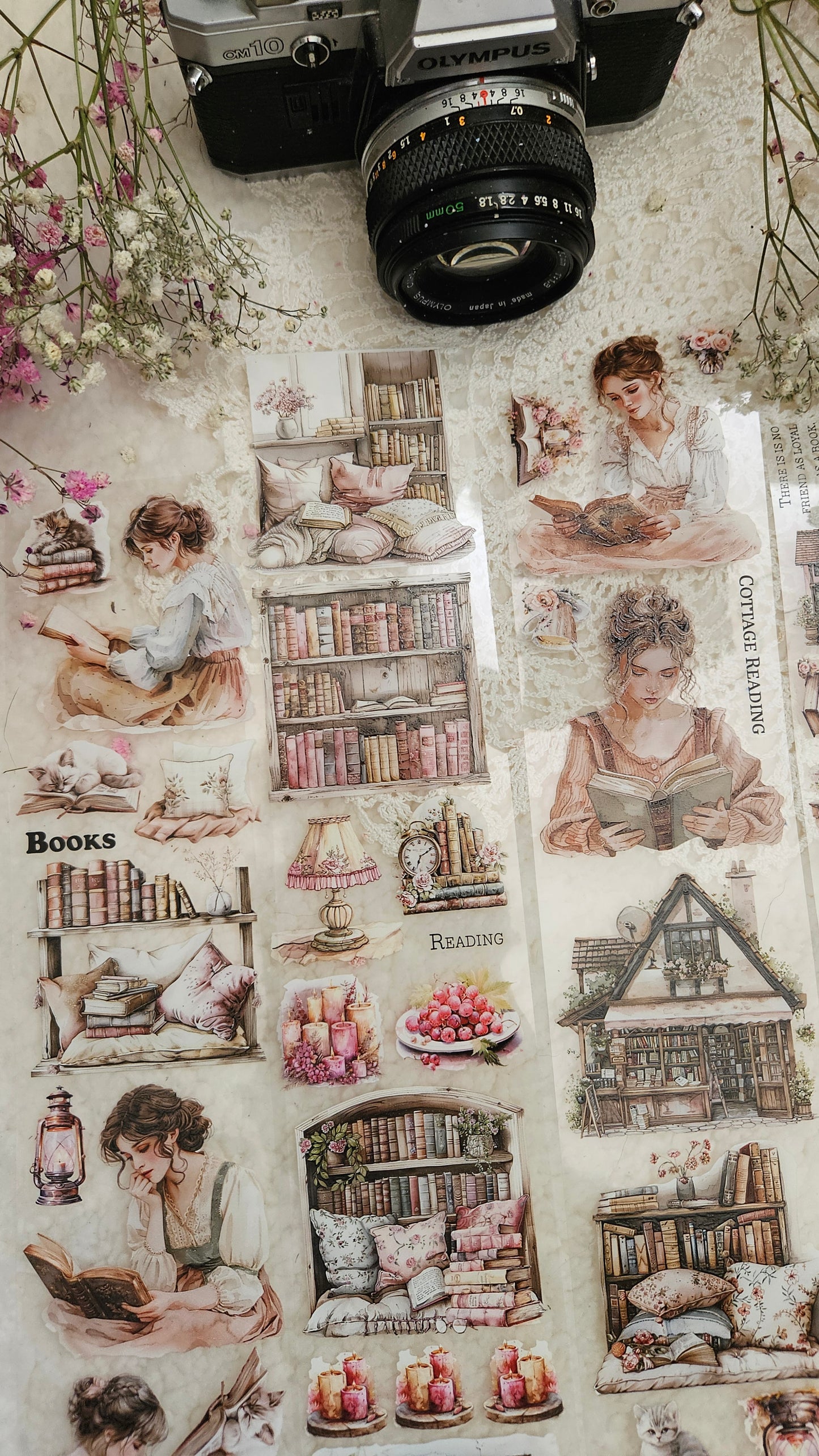 Dreamy Cottage Book Lover, Crystal Ink, PET TAPE, 7 cm wide