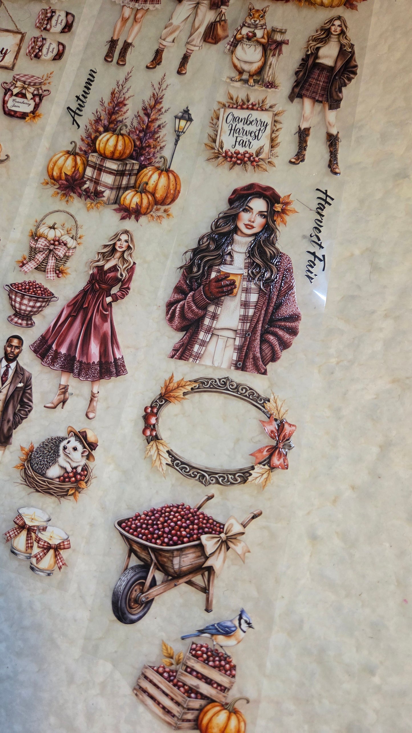 Cranberry Harvest Fair, Crystal Ink, PET TAPE, 7 cm wide