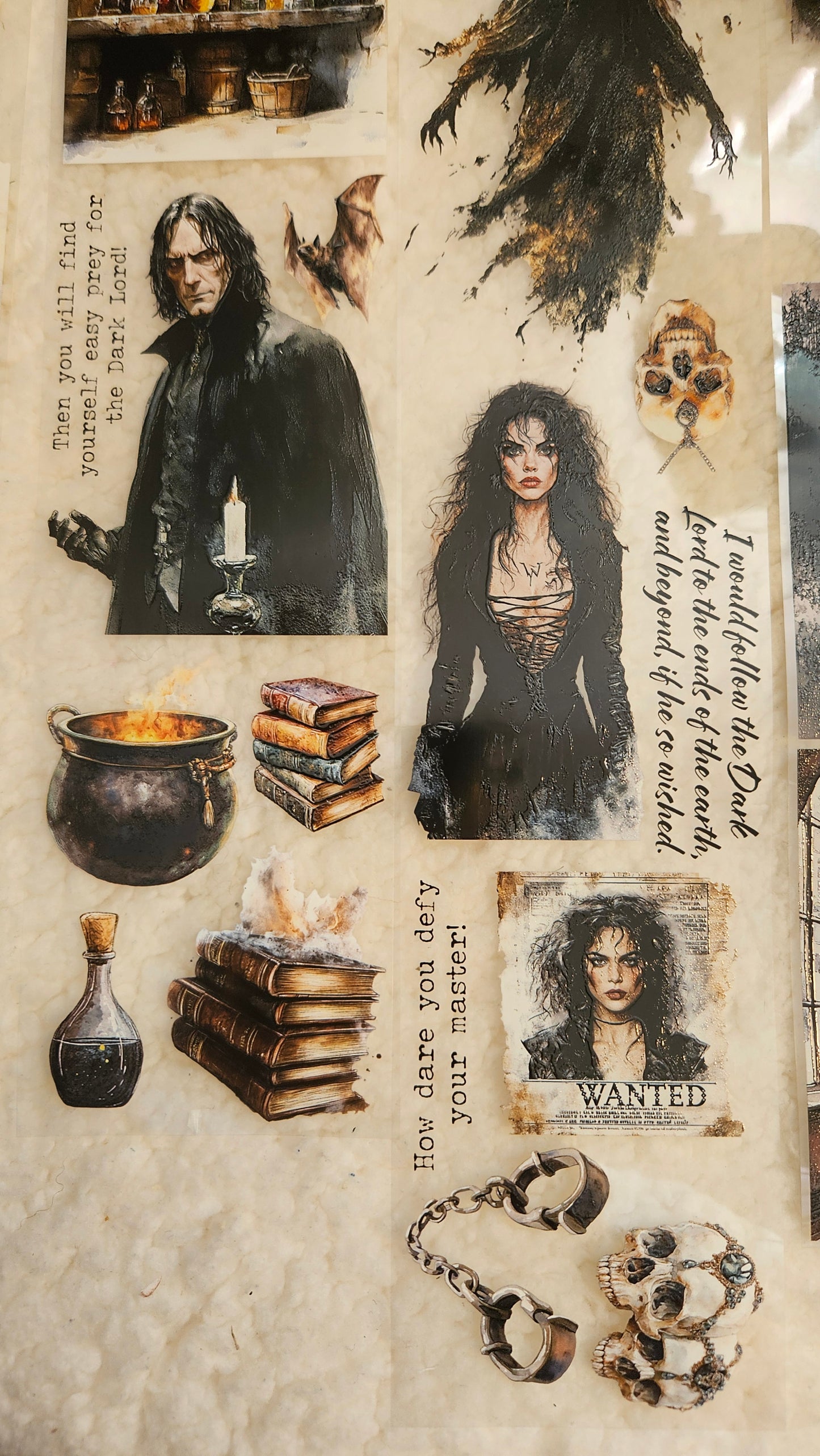 Dark Characters from Harry Potter, Crystal Ink, PET TAPE, 7 cm wide
